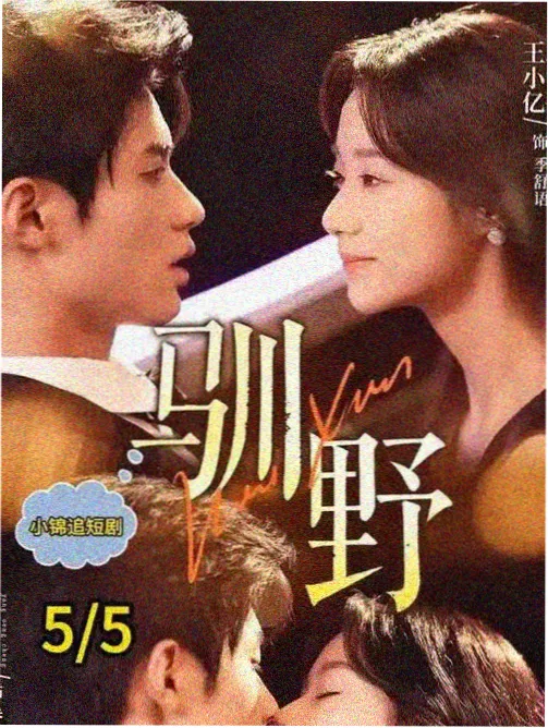 长街旧事剧集封面